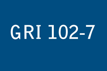 GRI 102:一般揭露(2016年)– 102-07 組織規模